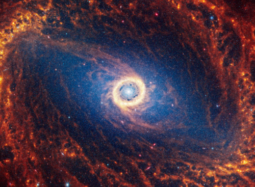 Picture of the Bullseye Galaxy